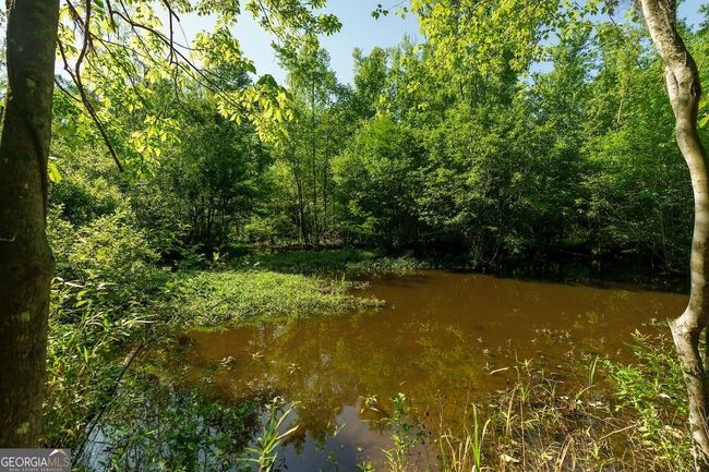 6053 Sun Hill Grange Rd, Home with 0 bedrooms, 0 bathrooms and null parking in Davisboro GA | Image 39