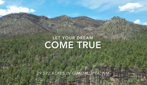 Behind1161 State Highway 434, Mora, NM, 87732 | Card Image