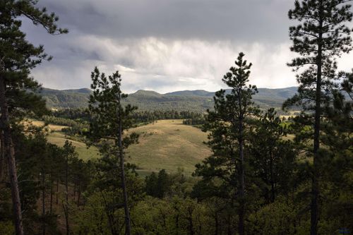 lot-3-three-peaks-ranch-Lot 3 Three Peaks Pass Rd, WHITEWOOD, SD, 57793 | Card Image