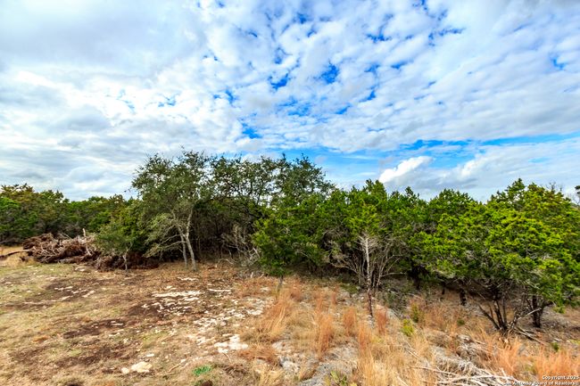 205 Bindweed Ln, Home with 0 bedrooms, 0 bathrooms and null parking in Spring Branch TX | Image 16