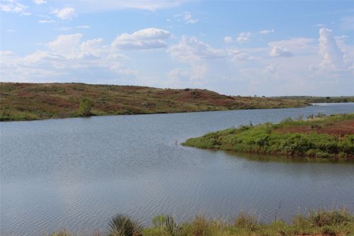 TBD 800 Acres, Memphis, TX, 79245 | Card Image