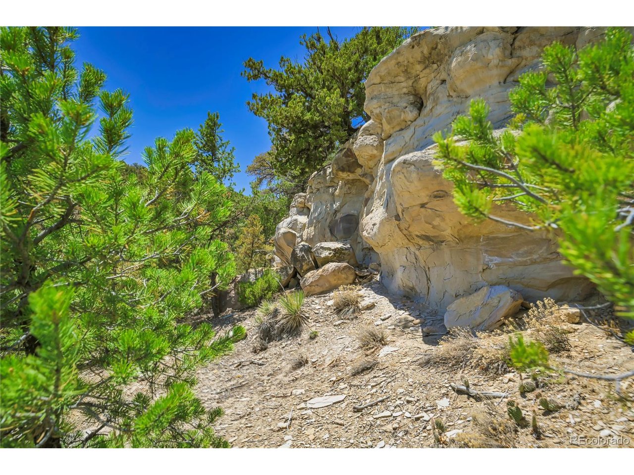 Land in Aguilar 5