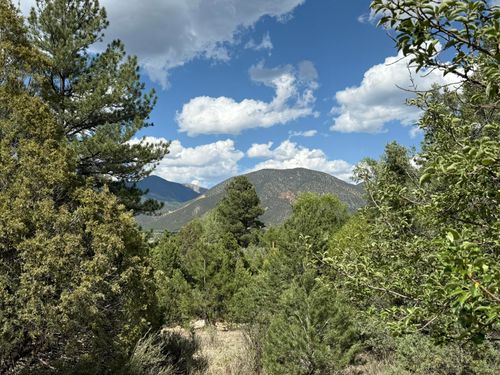 2318 B Old Red River Rd, Questa, NM, 87556 | Card Image