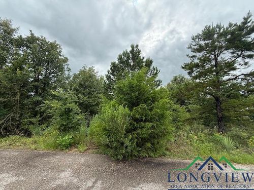 16547 Landons Way, Winona, TX, 75792-5825 | Card Image