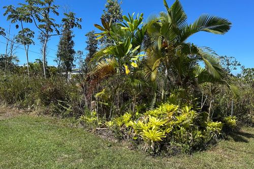 15-1597 4th Ave, KEAAU, HI, 96749-5066 | Card Image