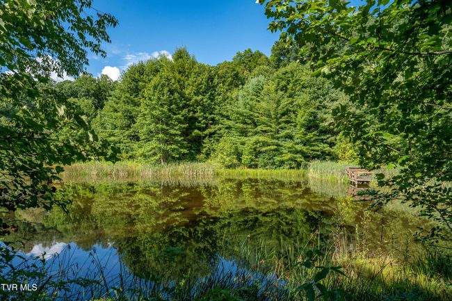 306 Bear Branch Rd, Home with 0 bedrooms, 0 bathrooms and null parking in Roan Mountain TN | Image 26