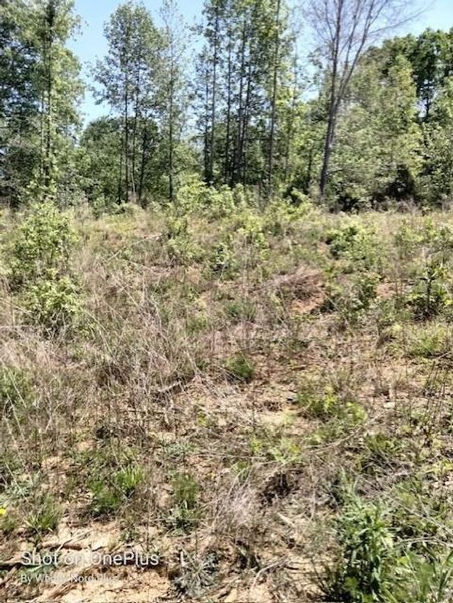 620 Ivy Creek Dr, Home with 0 bedrooms, 0 bathrooms and null parking in Nicholson GA | Image 6