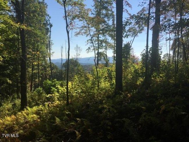 00 Heaton St, Home with 0 bedrooms, 0 bathrooms and null parking in Roan Mountain TN | Image 11