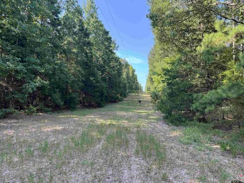 1301 An County Road 3552, Palestine, TX, 75801 | Card Image