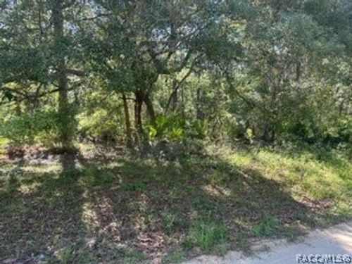 3234 N Amphibian Pt, Crystal River, FL, 34428-5809 | Card Image