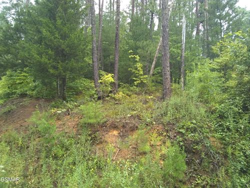 23 Walden Ridge Rd, Sevierville, TN, 37862 | Card Image