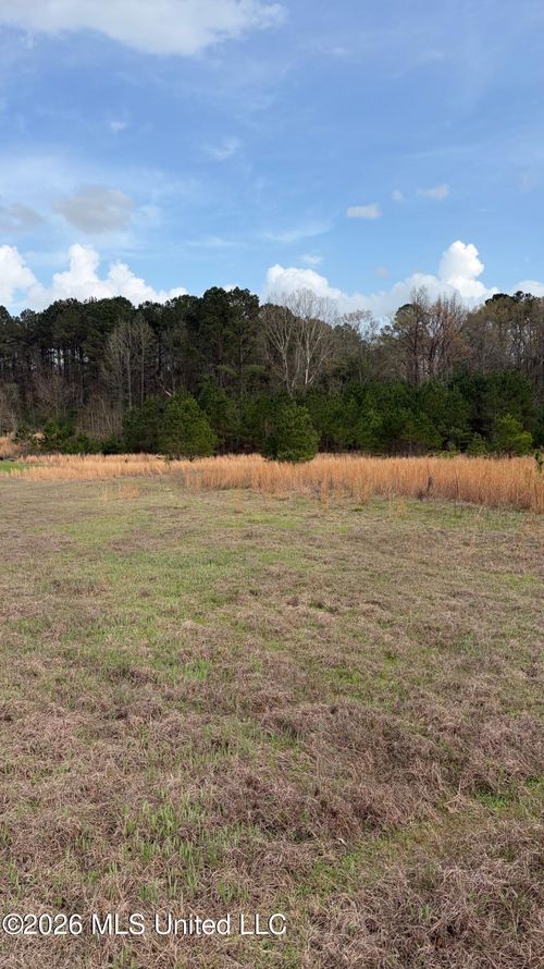 0 Highway 43 S, Pelahatchie, MS, 39145 | Card Image