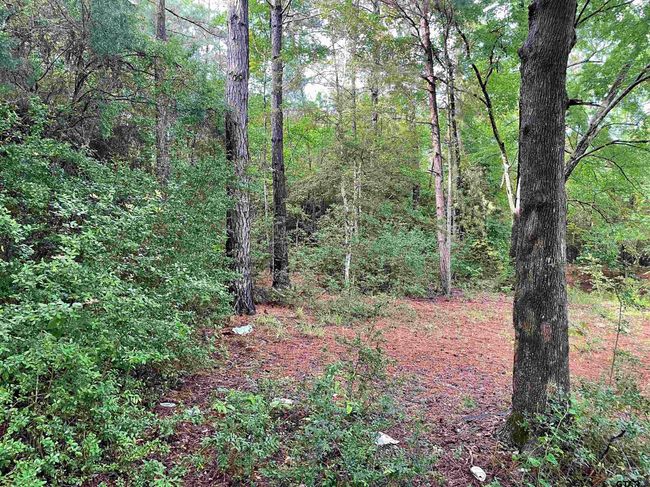 23349 Fm 838 W, Home with 0 bedrooms, 0 bathrooms and null parking in Overton TX | Image 4