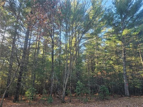 XXX E Harmon Ave, GRANTSBURG, WI, 54840 | Card Image