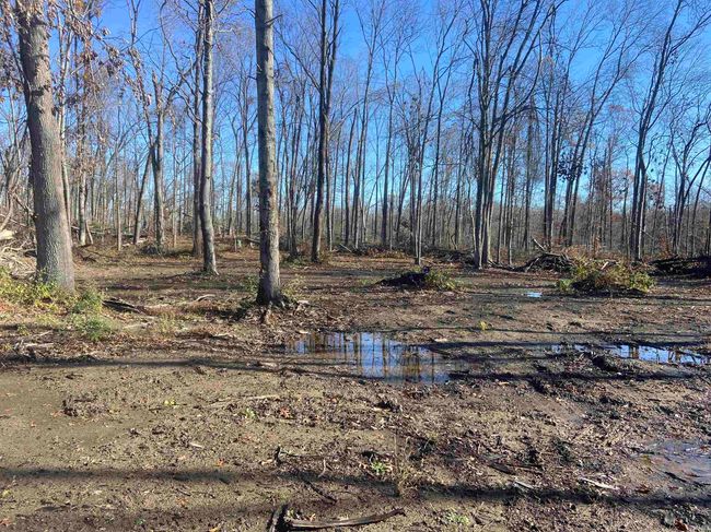 Tract 1 State Line Road, Home with 0 bedrooms, 0 bathrooms and null parking in West Terre Haute IN | Image 7