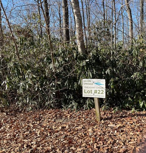 TBD E Pheasant Chas, Fancy Gap, VA, 24328 | Card Image