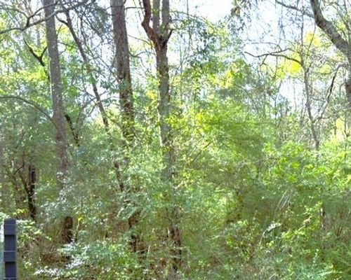 00 Moore Rd, Hattiesburg, MS, 39401 | Card Image