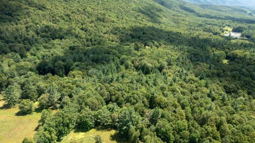 0 Havoc Hill Road, Dorset, VT, 05253 | Card Image