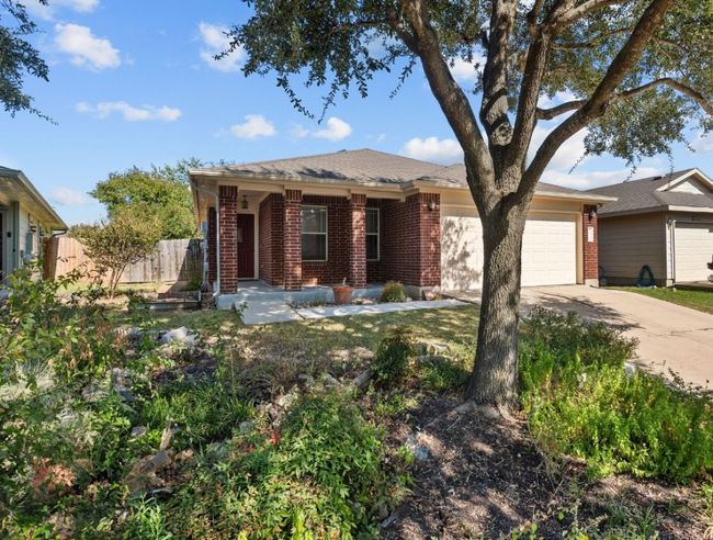Front yard | Image 16