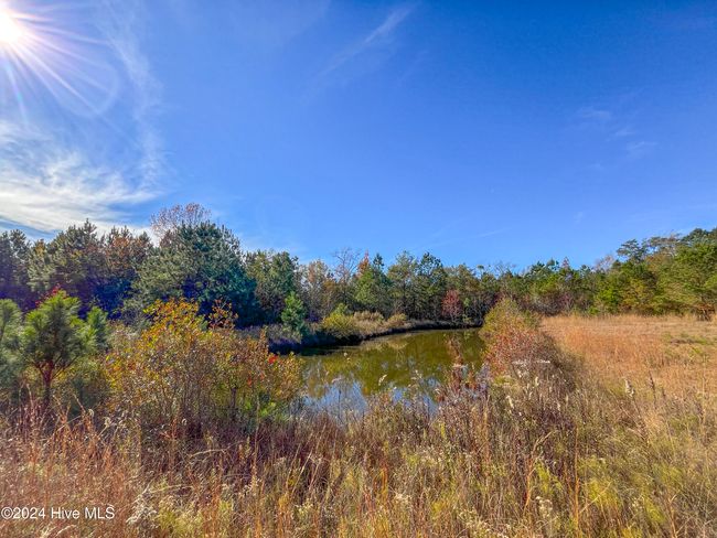 4780 S Us 117 Hwy, Home with 0 bedrooms, 0 bathrooms and null parking in Teachey NC | Image 22