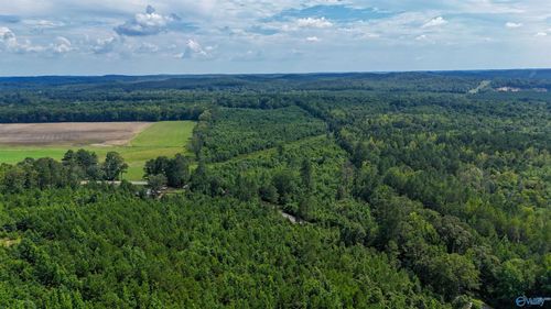 78 ACRES County Highway 56, Vina, AL, 35593-5512 | Card Image