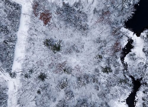 351114 Ring Bolt Lane, Surry, ME, 04684 | Card Image