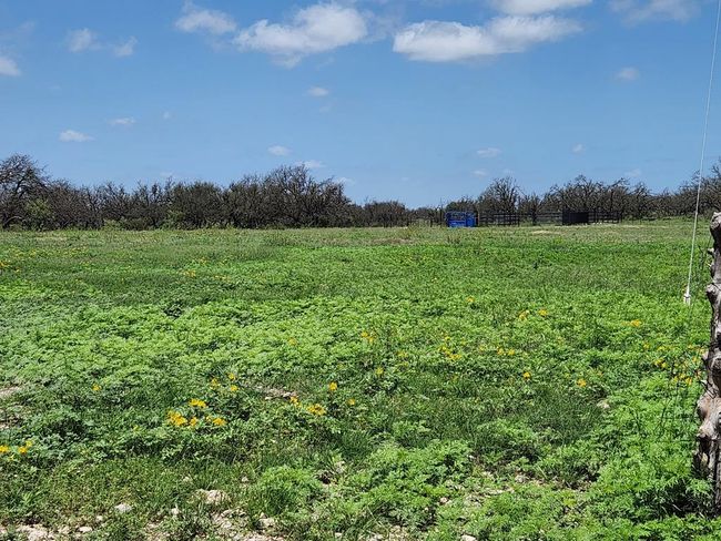 9286 County Road 2335, House other with 3 bedrooms, 2 bathrooms and 2 parking in Menard TX | Image 60