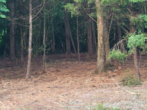 421 Hardee Ave, Smyrna, TN, 37167-4785 | Card Image