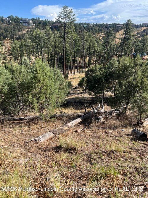 357 El Camino Dr, Alto, NM, 88312 | Card Image
