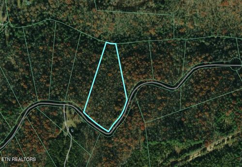 19 Catoosa Dr, Lancing, TN, 37770 | Card Image