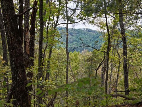 LOT 20 Crabapple Ln, Mineral Bluff, GA, 30559 | Card Image