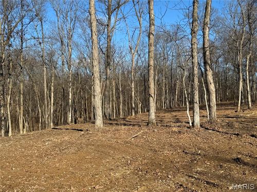 2988 Scott Rd, Moscow Mills, MO, 63362-2312 | Card Image