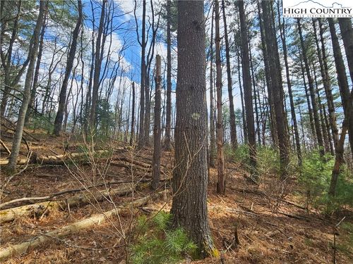 TBD Panorama Dr, Todd, NC, 28684 | Card Image