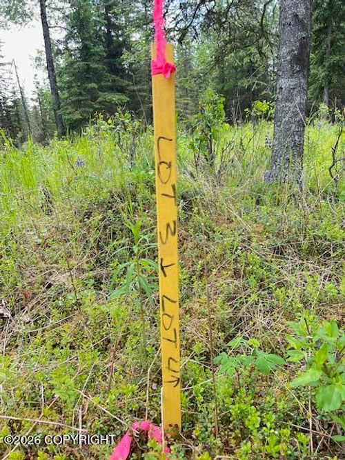 L4 Madsen Ave, Kasilof, AK, 99610 | Card Image