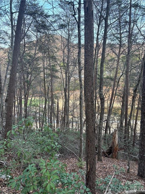 Lot 20 Nicklaus Ln, Lake Lure, NC, 28746 | Card Image