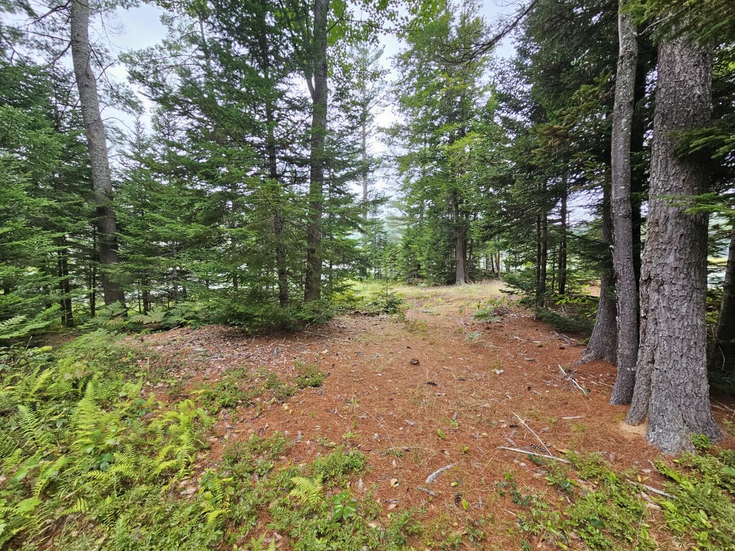 Charles Farm Trl, Rome, ME 04963