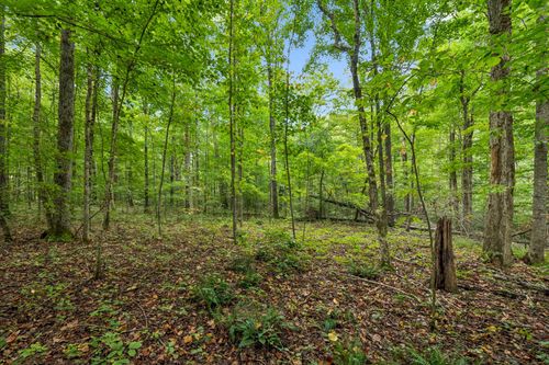 0 Tidwell Switch Rd, Bon Aqua, TN, 37025 | Card Image