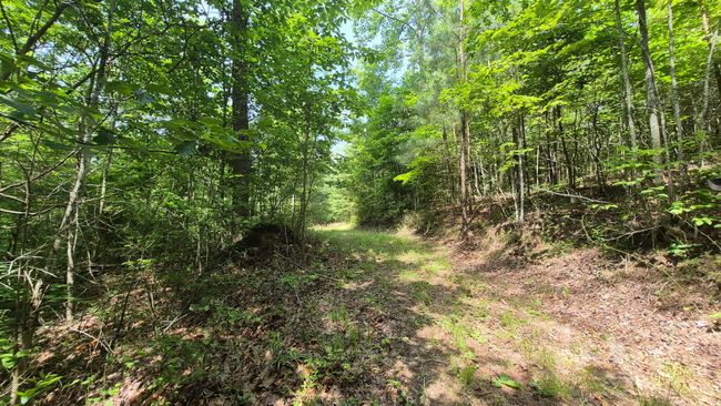 1255 Cherokee Path, Home with 0 bedrooms, 0 bathrooms and null parking in Jasper TN | Image 8