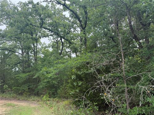 0 Faye St, Quinlan, TX, 75474 | Card Image