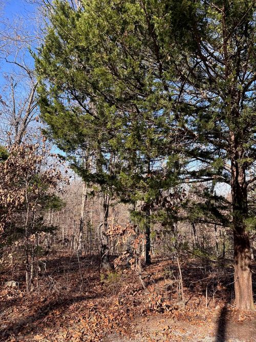 0 Loxahatchee Cir, Cherokee Village, AR, 72529 | Card Image