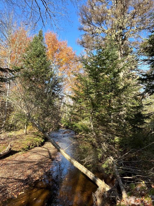 5183 Highway 2, House other with 3 bedrooms, 2 bathrooms and 1 parking in Little Bass River NS | Image 14