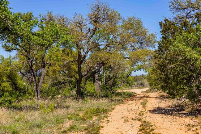 743 Welgehausen Rd, Home with 0 bedrooms, 0 bathrooms and null parking in Fredericksburg TX | Image 46