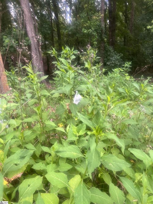 00 S Arrowhead Dr, Westminster, SC, 29693 | Card Image