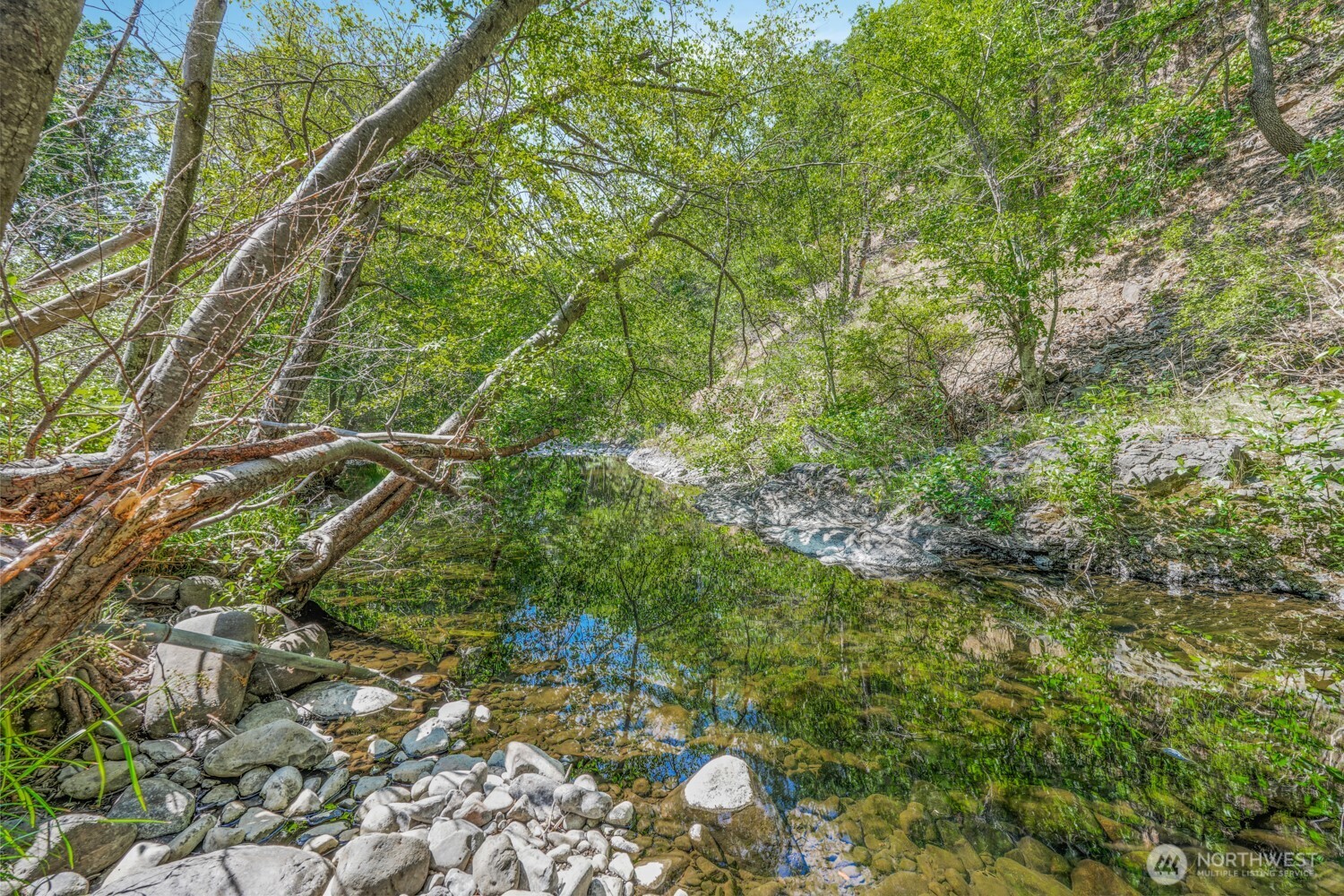 Land in Goldendale 3