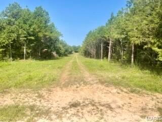 Land in Licking 2