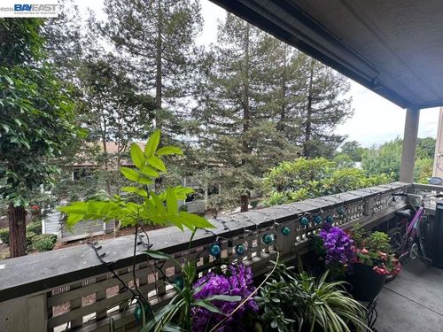 204-29599 Vanderbilt St, Hayward, CA, 94544-6755 | Card Image