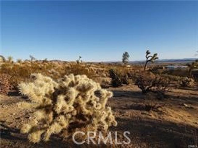 7275 Saddleback Rd, Home with 0 bedrooms, 0 bathrooms and null parking in Joshua Tree CA | Image 5