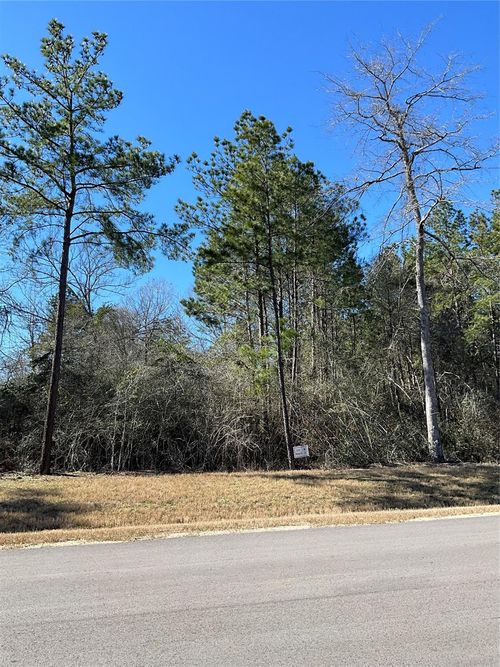 341 Exploration Road, Willis, TX, 77378 | Card Image