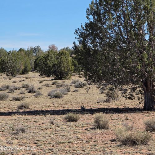 Lot 8b N Tanner Rd, Ash Fork, AZ, 86320 | Card Image