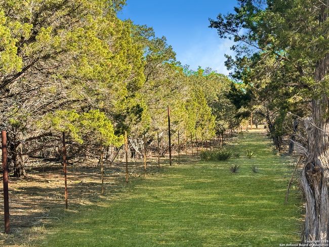 565 Red Bluff Ranch Rd, House other with 3 bedrooms, 3 bathrooms and null parking in Pipe Creek TX | Image 29